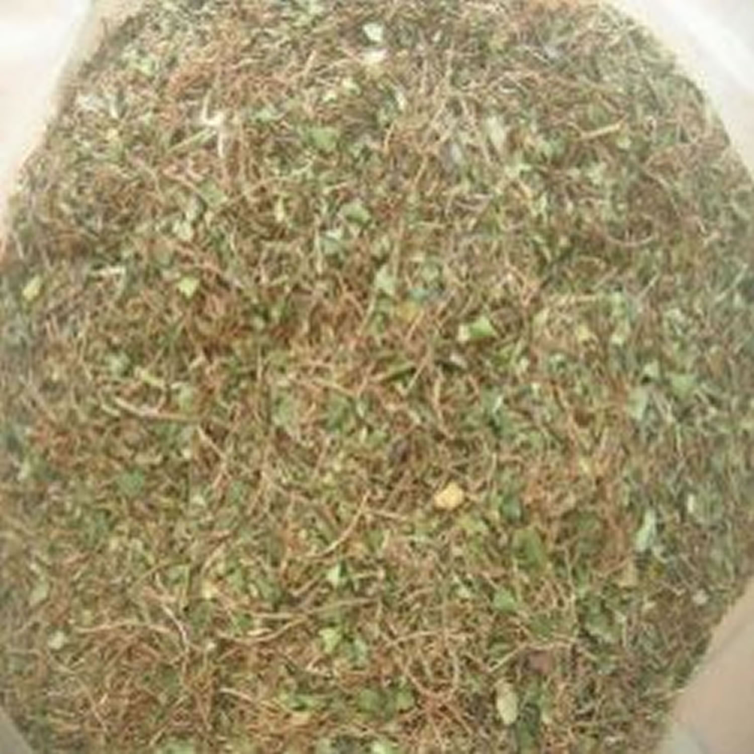 SQUAW VINE (PARTRIDGEBERRY, SQUAWVINE, MITCHELLA REPENS), DRIED HERBS