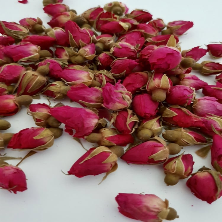 Red Rose Buds (Rosebuds)