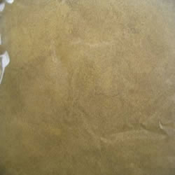 Celery (Apium graveolens) Seed Powder