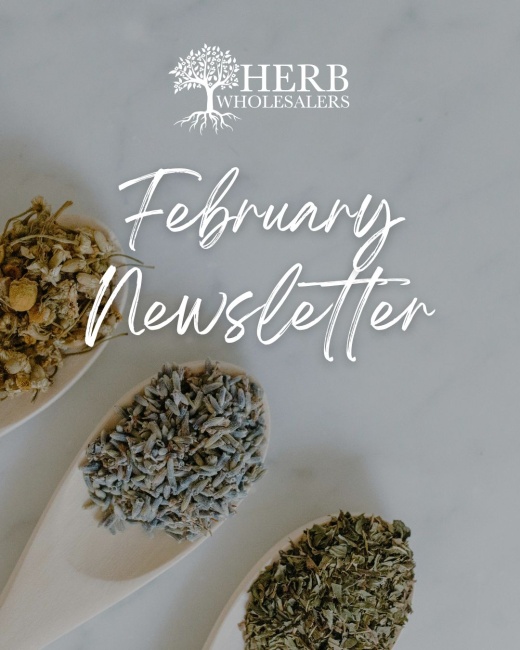 What&rsquo;s Brewing This February