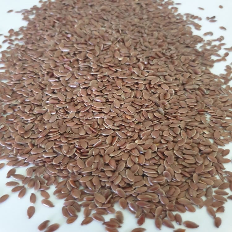 Linseed, Brown (Flaxseed) (Linum usitatissimum) Flax Seed