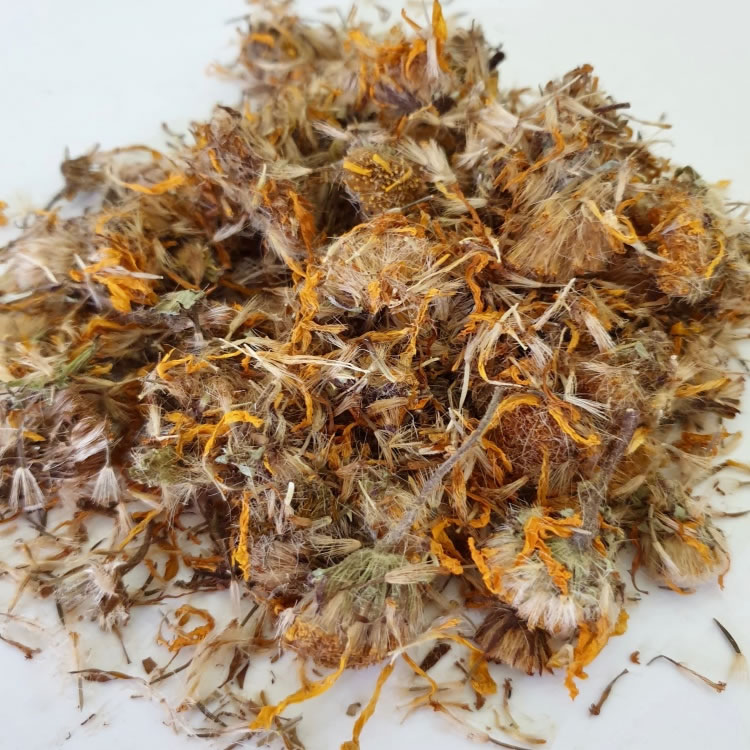 Arnica Flowers