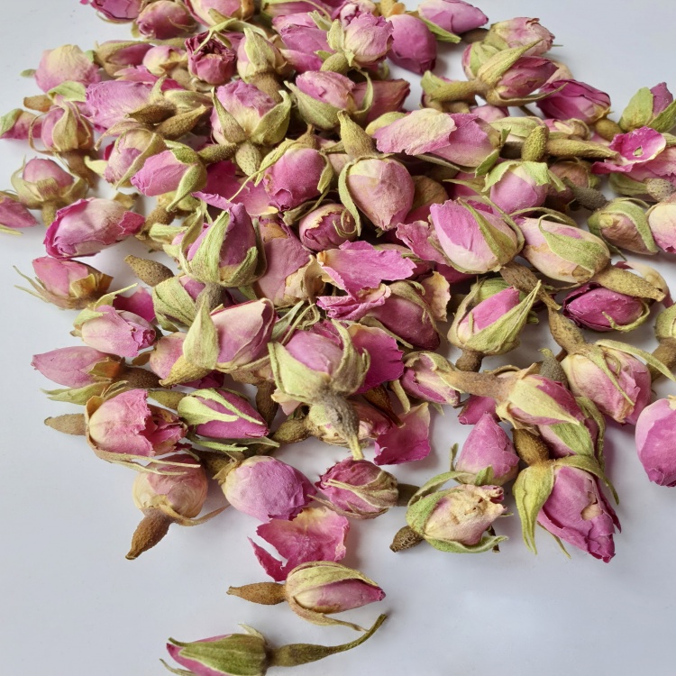 Pink Rose Buds (Rosebuds)