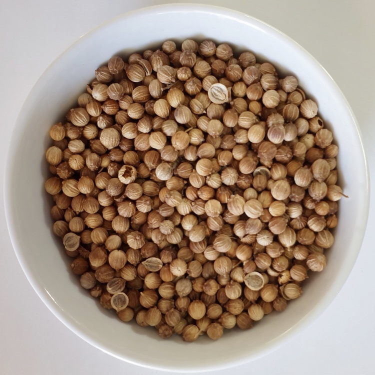 Coriander (Coriandum sativum) Seeds