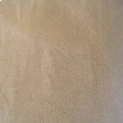 Coriander Seed Powder