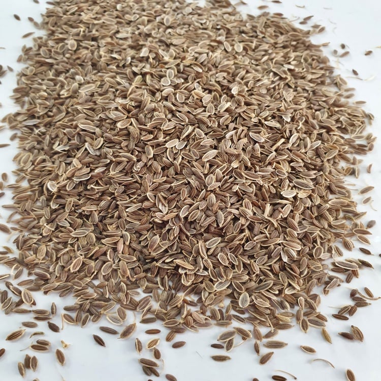 Dill Seed