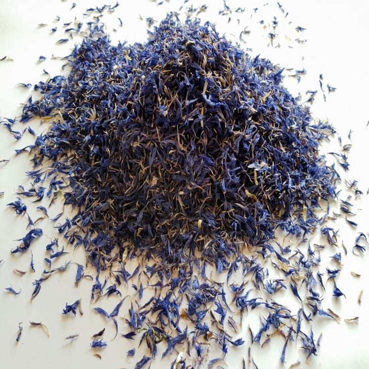 Cornflower Blue Petals Premium