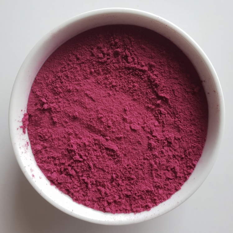 Organic Blueberry Juice Powder