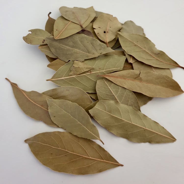 Bay Leaf (Laurus nobilis)