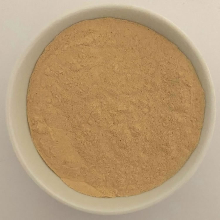 Goji Berry Juice Powder Organic