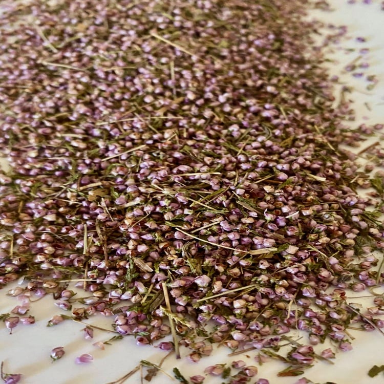 Heather Flowers( Organic Calluna vulgaris)