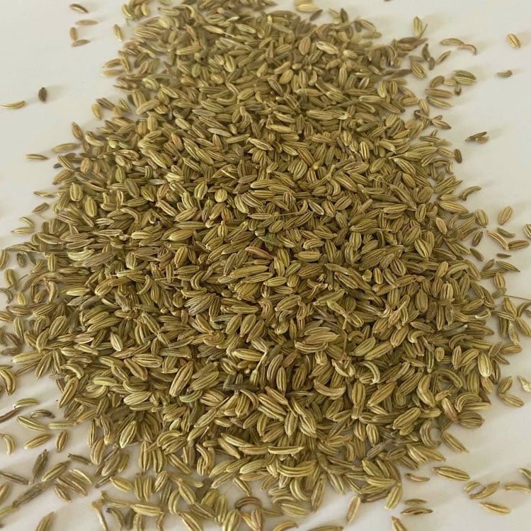 Fennel Seed