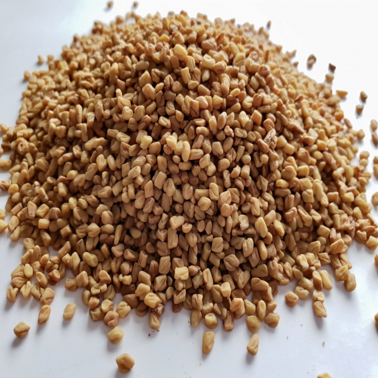 Fenugreek Seeds