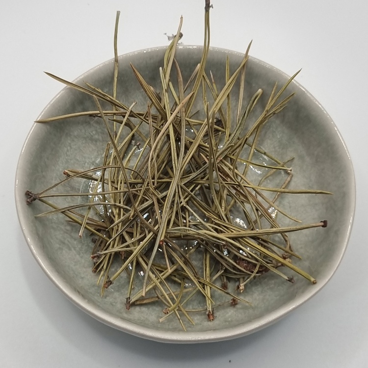 Pine Needles