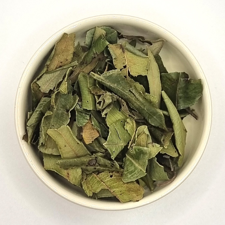 Lemon Myrtle Partial Leaf