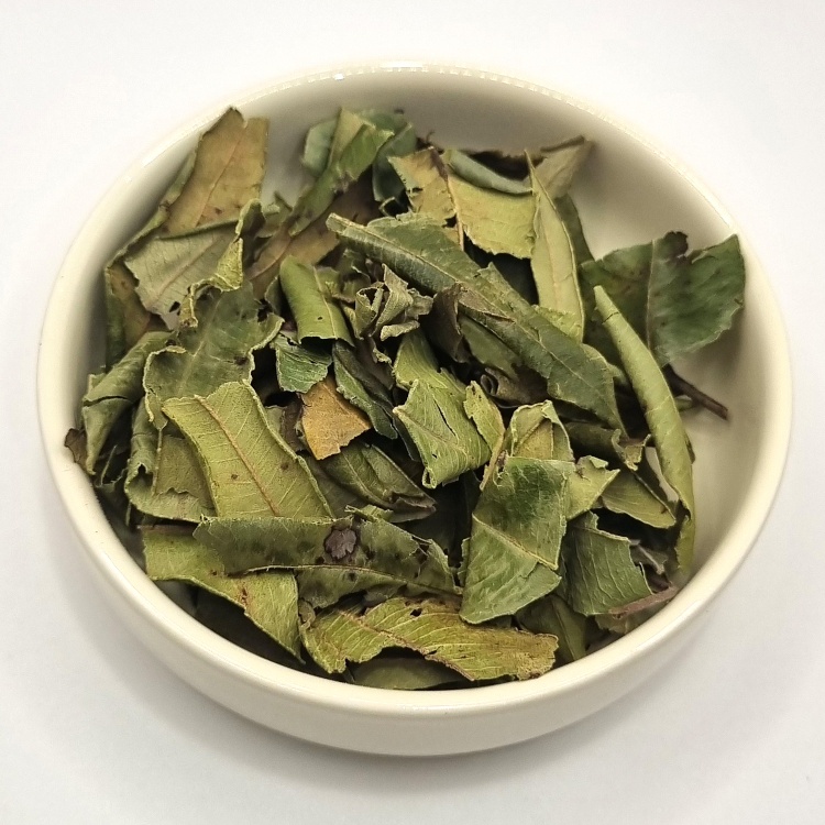 Lemon Myrtle Partial Leaf