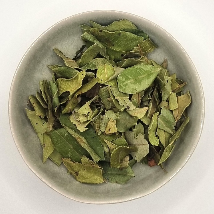 Lemon Myrtle Partial Leaf