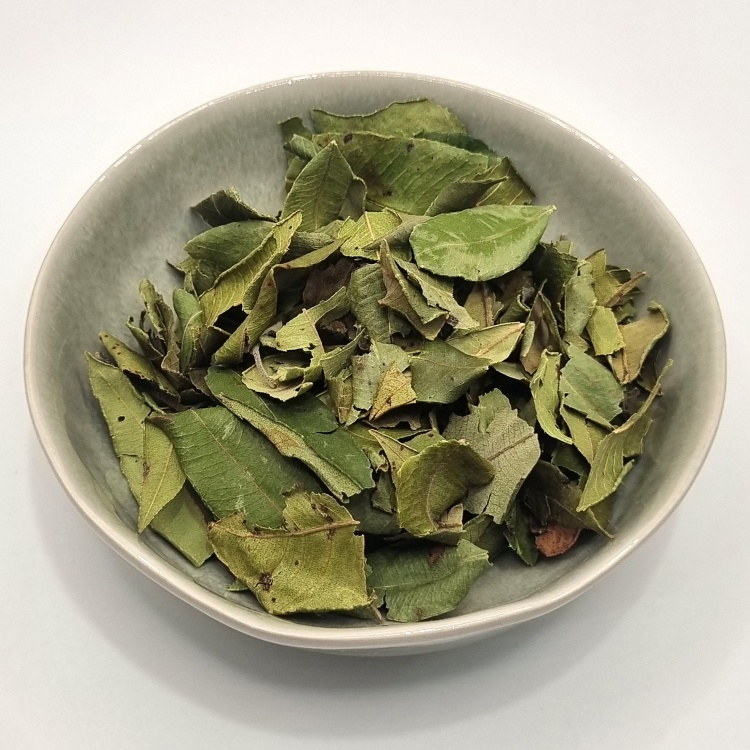 Lemon Myrtle Partial Leaf