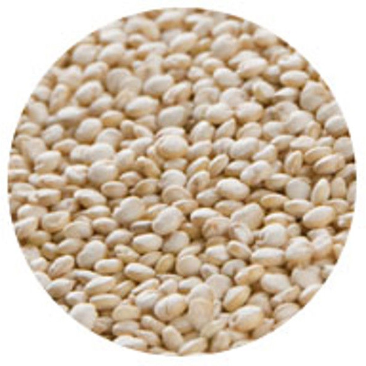 Quinoa White