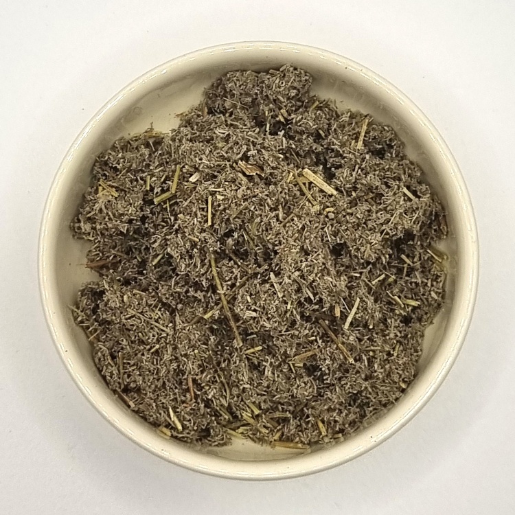 Roman Wormwood - Artemisia Pontica