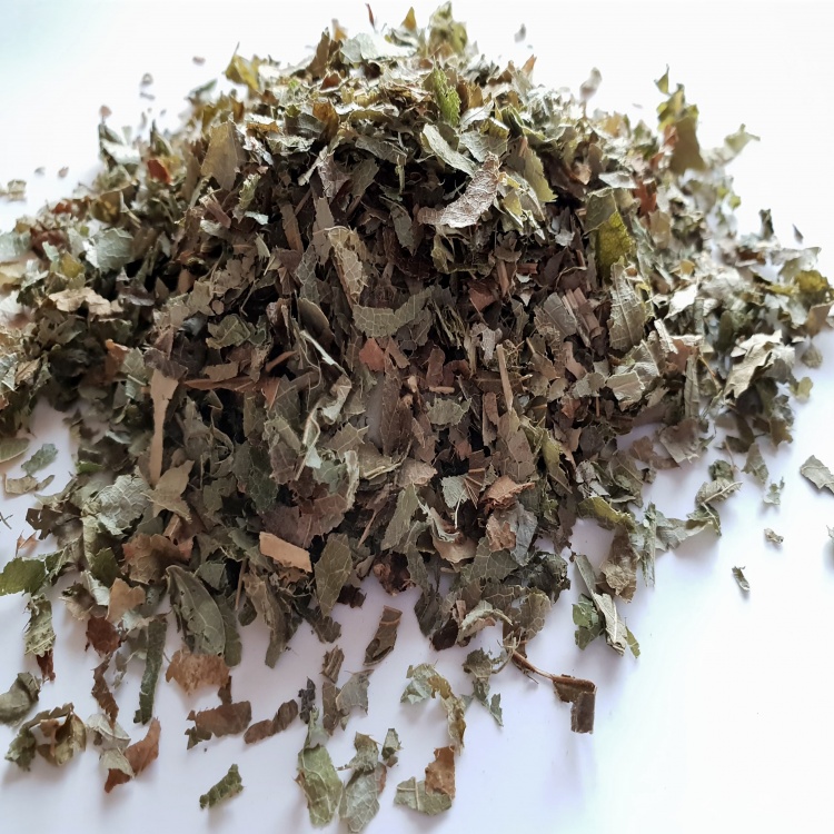Horny Goat Weed