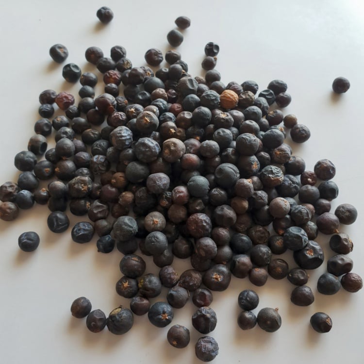 Juniper Berry